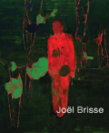 JOEL BRISSE  par Laurence Debecque-Michel / Ed. Art In Progress