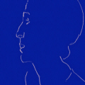 Ferdinand Hodler: " Portrait de Valentine God-Darel, de profil  gauche " (dtail)-  vers 1908 -  crayon de graphite sur papier 480 x 348 mm -  Muse Jenisch - Vevey -  Donation Rudolf Schindler