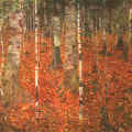 Gustav Klimt :  " Sous bois " 1903 - (c) Osterreichiches Galerie  - Vienne