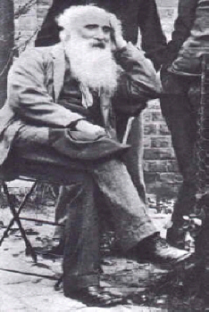 Camille Pissarro  Knotte en Belgique en 1894   Coll. Part.